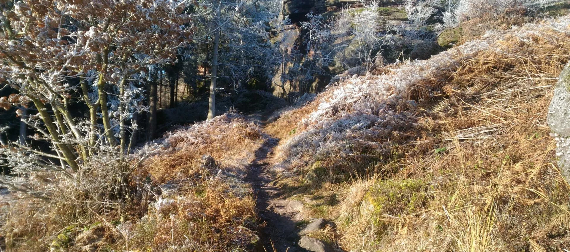 Sortie du 04 Décembre (Groupe 2)
